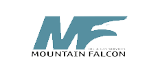 Mountain Falcon